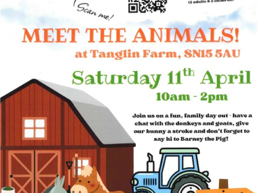 HEALS of Malmesbury - Meet the Animals at Tanglin Farm